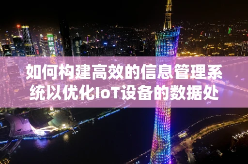 如何构建高效的信息管理系统以优化IoT设备的数据处理？