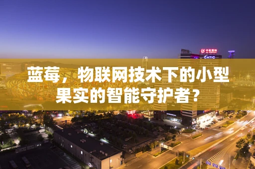 蓝莓，物联网技术下的小型果实的智能守护者？