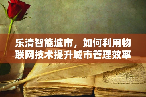 乐清智能城市，如何利用物联网技术提升城市管理效率？