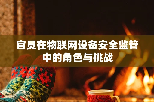 官员在物联网设备安全监管中的角色与挑战