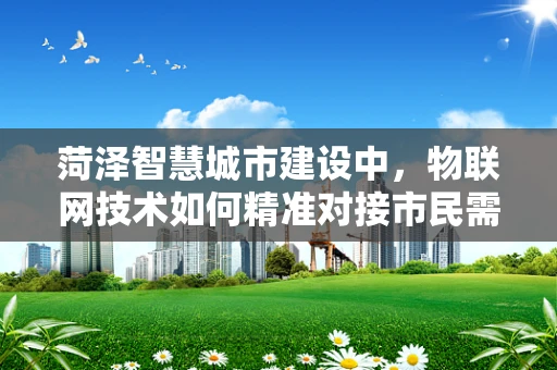 菏泽智慧城市建设中，物联网技术如何精准对接市民需求？