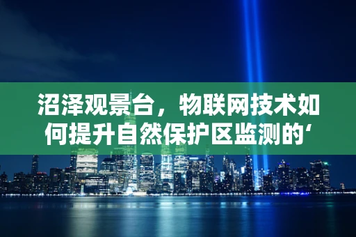 沼泽观景台，物联网技术如何提升自然保护区监测的‘眼观六路’？