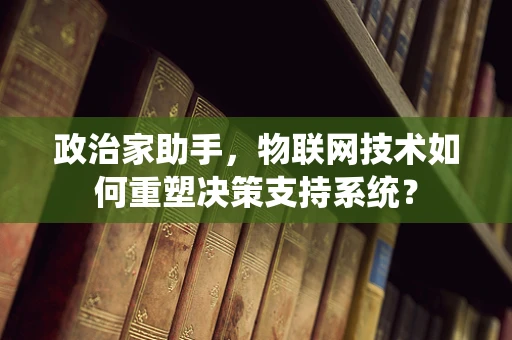政治家助手，物联网技术如何重塑决策支持系统？
