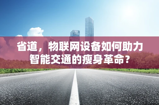 省道，物联网设备如何助力智能交通的瘦身革命？