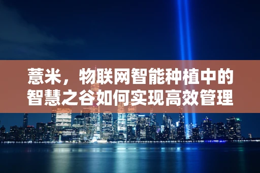 薏米，物联网智能种植中的智慧之谷如何实现高效管理？