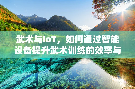 武术与IoT，如何通过智能设备提升武术训练的效率与安全？