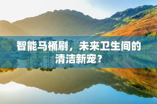 智能马桶刷，未来卫生间的清洁新宠？