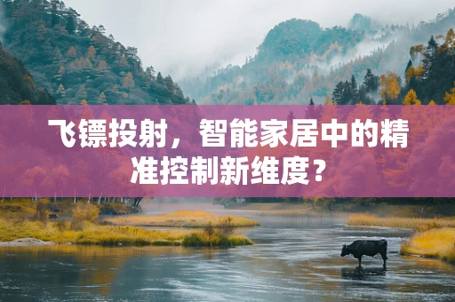飞镖投射，智能家居中的精准控制新维度？