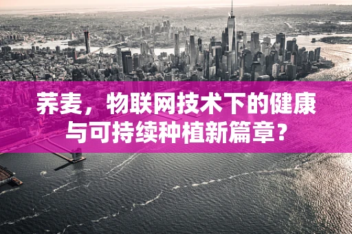 荞麦，物联网技术下的健康与可持续种植新篇章？