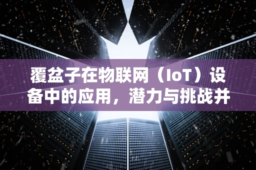 覆盆子在物联网（IoT）设备中的应用，潜力与挑战并存？