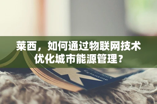 莱西，如何通过物联网技术优化城市能源管理？