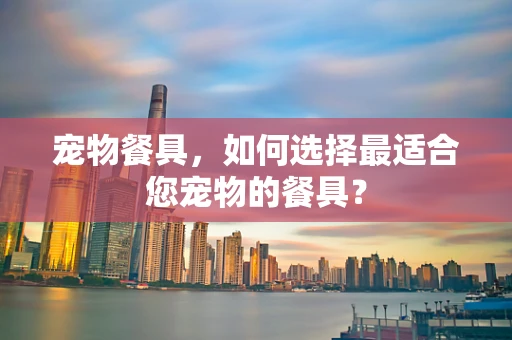 宠物餐具，如何选择最适合您宠物的餐具？