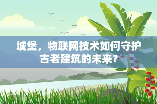 城堡，物联网技术如何守护古老建筑的未来？