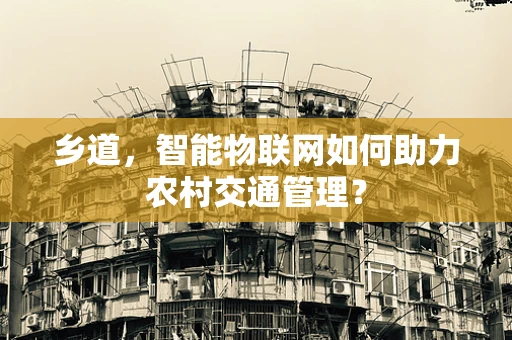 乡道，智能物联网如何助力农村交通管理？