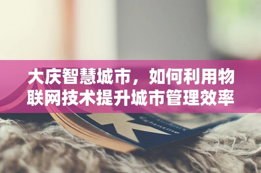 大庆智慧城市，如何利用物联网技术提升城市管理效率？