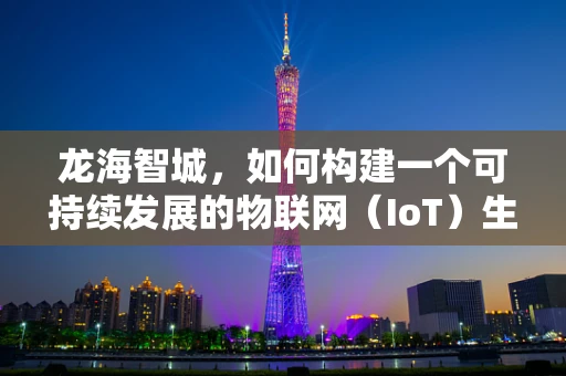 龙海智城，如何构建一个可持续发展的物联网（IoT）生态圈？