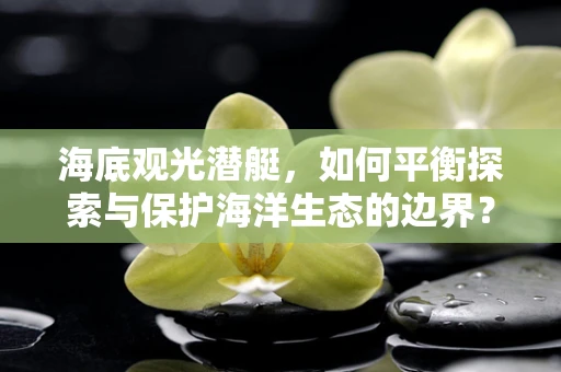 海底观光潜艇，如何平衡探索与保护海洋生态的边界？