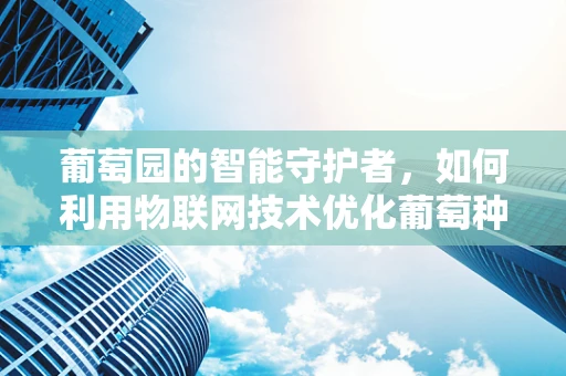 葡萄园的智能守护者，如何利用物联网技术优化葡萄种植？