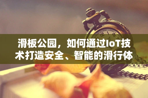 滑板公园，如何通过IoT技术打造安全、智能的滑行体验？