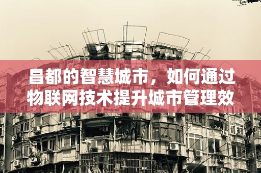 昌都的智慧城市，如何通过物联网技术提升城市管理效率？