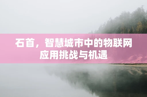 石首，智慧城市中的物联网应用挑战与机遇