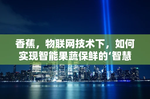 香蕉，物联网技术下，如何实现智能果蔬保鲜的‘智慧之选’？