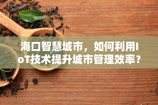 海口智慧城市，如何利用IoT技术提升城市管理效率？