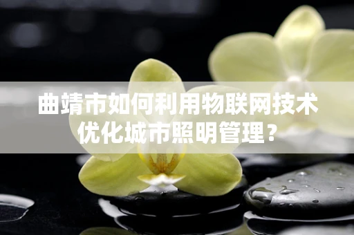 曲靖市如何利用物联网技术优化城市照明管理？