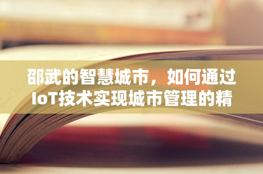 邵武的智慧城市，如何通过IoT技术实现城市管理的精细化与智能化？
