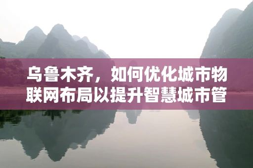 乌鲁木齐，如何优化城市物联网布局以提升智慧城市管理效率？