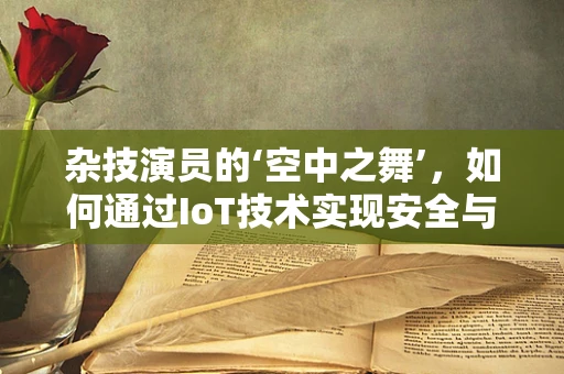 杂技演员的‘空中之舞’，如何通过IoT技术实现安全与效率的完美融合？