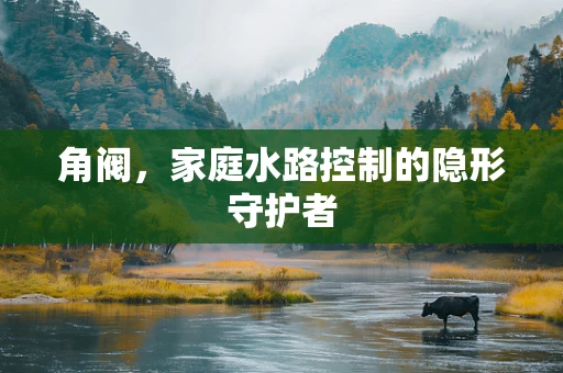 角阀，家庭水路控制的隐形守护者