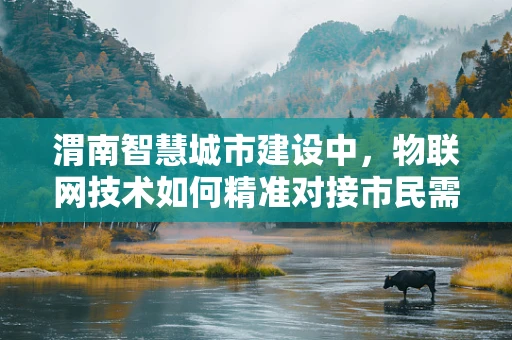 渭南智慧城市建设中，物联网技术如何精准对接市民需求？