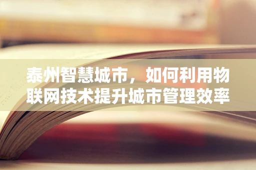 泰州智慧城市，如何利用物联网技术提升城市管理效率？