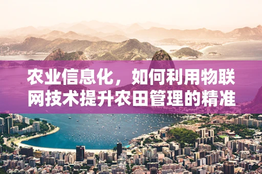 农业信息化，如何利用物联网技术提升农田管理的精准度？