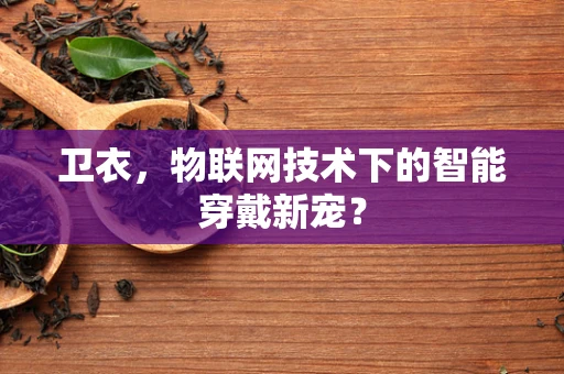 卫衣，物联网技术下的智能穿戴新宠？