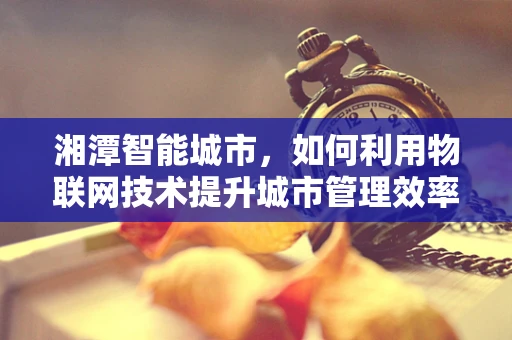 湘潭智能城市，如何利用物联网技术提升城市管理效率？