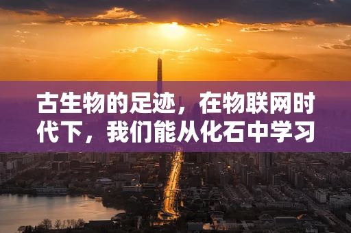 古生物的足迹，在物联网时代下，我们能从化石中学习什么？