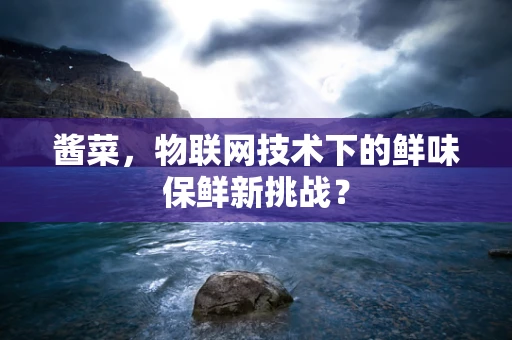 酱菜，物联网技术下的鲜味保鲜新挑战？
