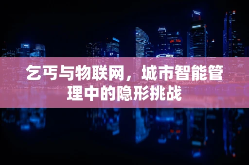 乞丐与物联网，城市智能管理中的隐形挑战
