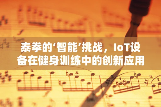 泰拳的‘智能’挑战，IoT设备在健身训练中的创新应用？