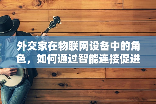 外交家在物联网设备中的角色，如何通过智能连接促进国际合作？