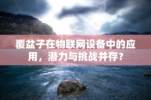 覆盆子在物联网设备中的应用，潜力与挑战并存？