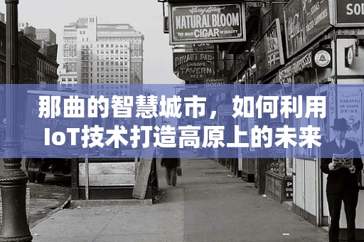 那曲的智慧城市，如何利用IoT技术打造高原上的未来生活？