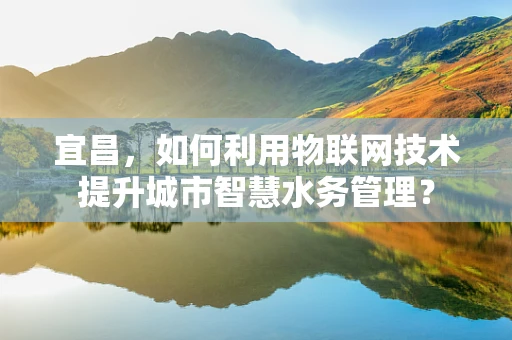 宜昌，如何利用物联网技术提升城市智慧水务管理？