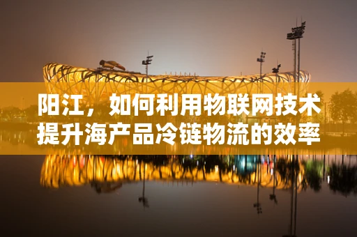 阳江，如何利用物联网技术提升海产品冷链物流的效率？