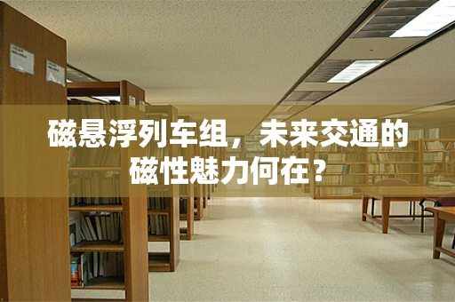 磁悬浮列车组，未来交通的磁性魅力何在？