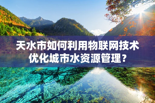 天水市如何利用物联网技术优化城市水资源管理？