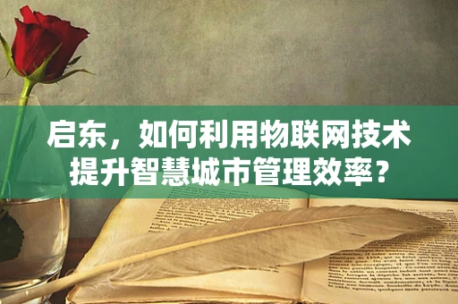 启东，如何利用物联网技术提升智慧城市管理效率？