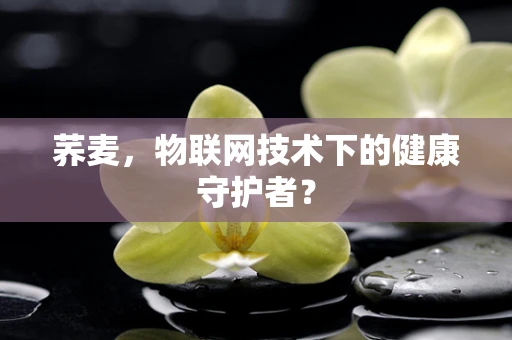 荞麦，物联网技术下的健康守护者？